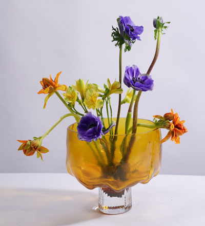 VANESSA MITRANI-image